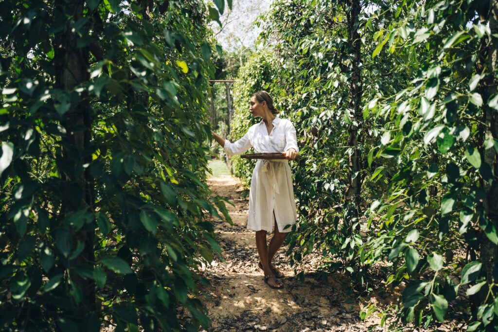 Mulher colhendo plantas em uma plantação, simbolizando a vida no campo e o contato direto com a natureza