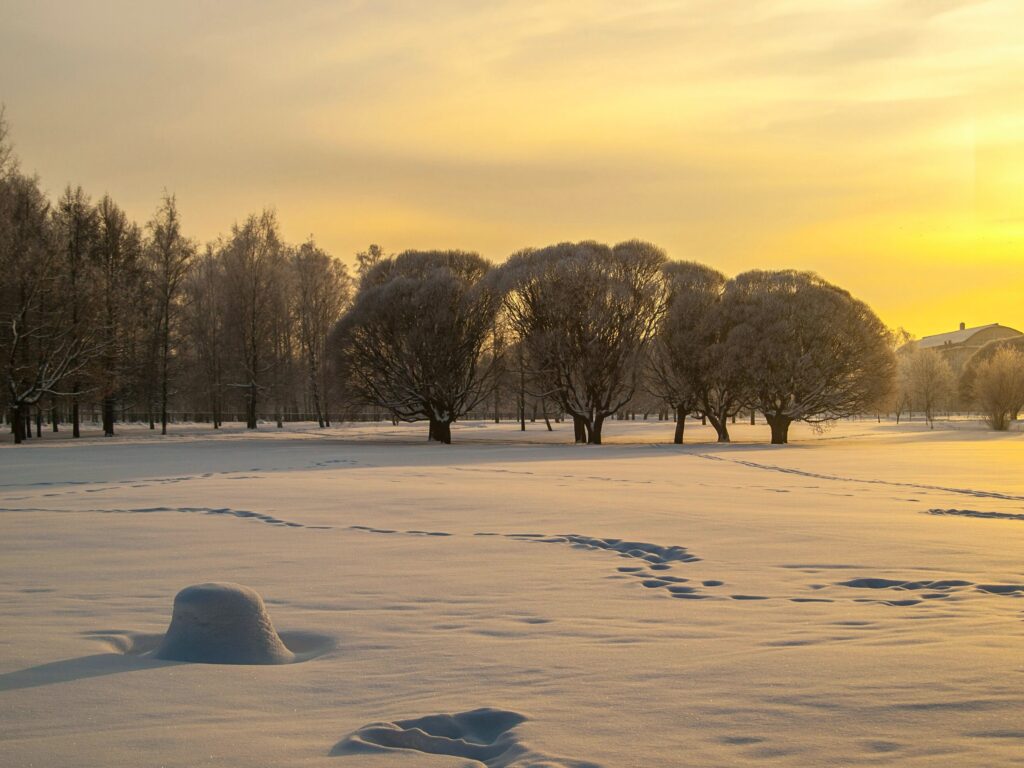 Paisagem de inverno com neve mostrando que o tempo que floresce também passa por momentos de espera.