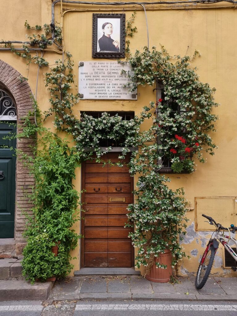 entrada de casa italiana com porta de madeira, fachada amarela e trepadeiras floridas ao redor