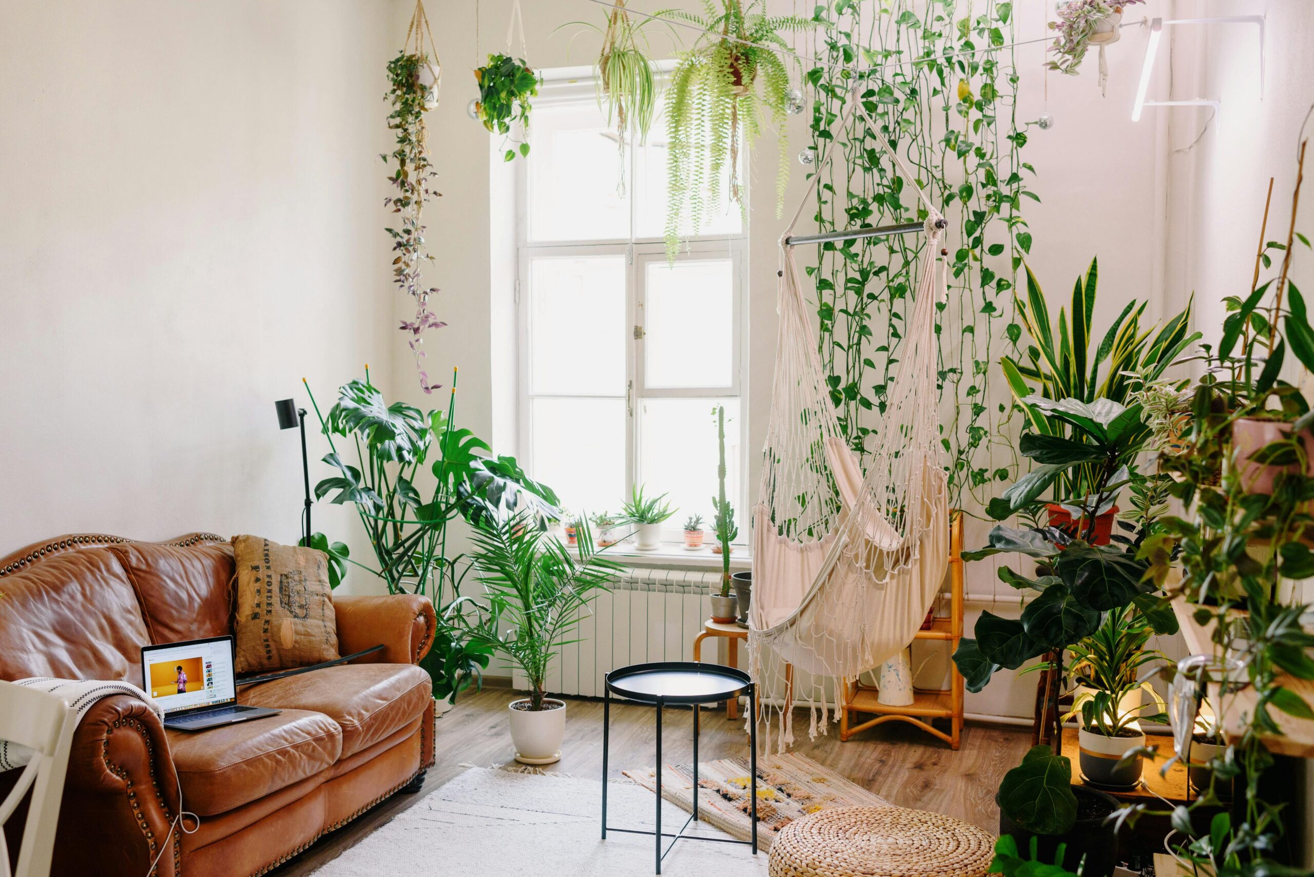 sala aconchegante com plantas e luz natural — inspiração para deixar a casa mais acolhedora