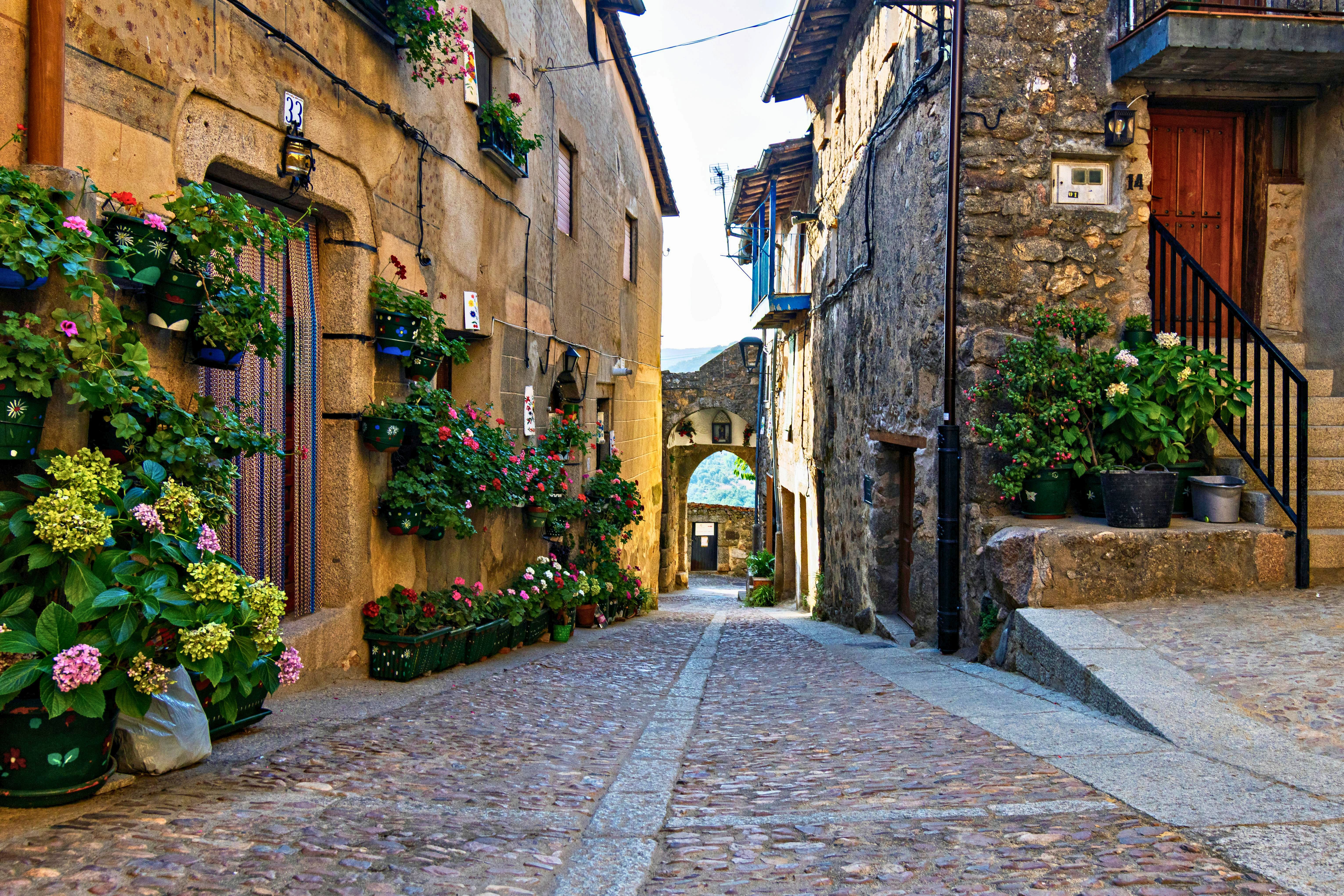presença da Itália em uma rua com casas de pedra, entradas simples e vasos com plantas
