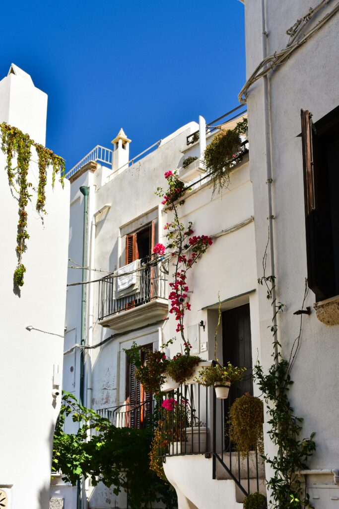 bougainville na fachada da casa na estética mediterrânea, conduzida pela parede branca com varandas e vasos em estilo mediterrâneo
