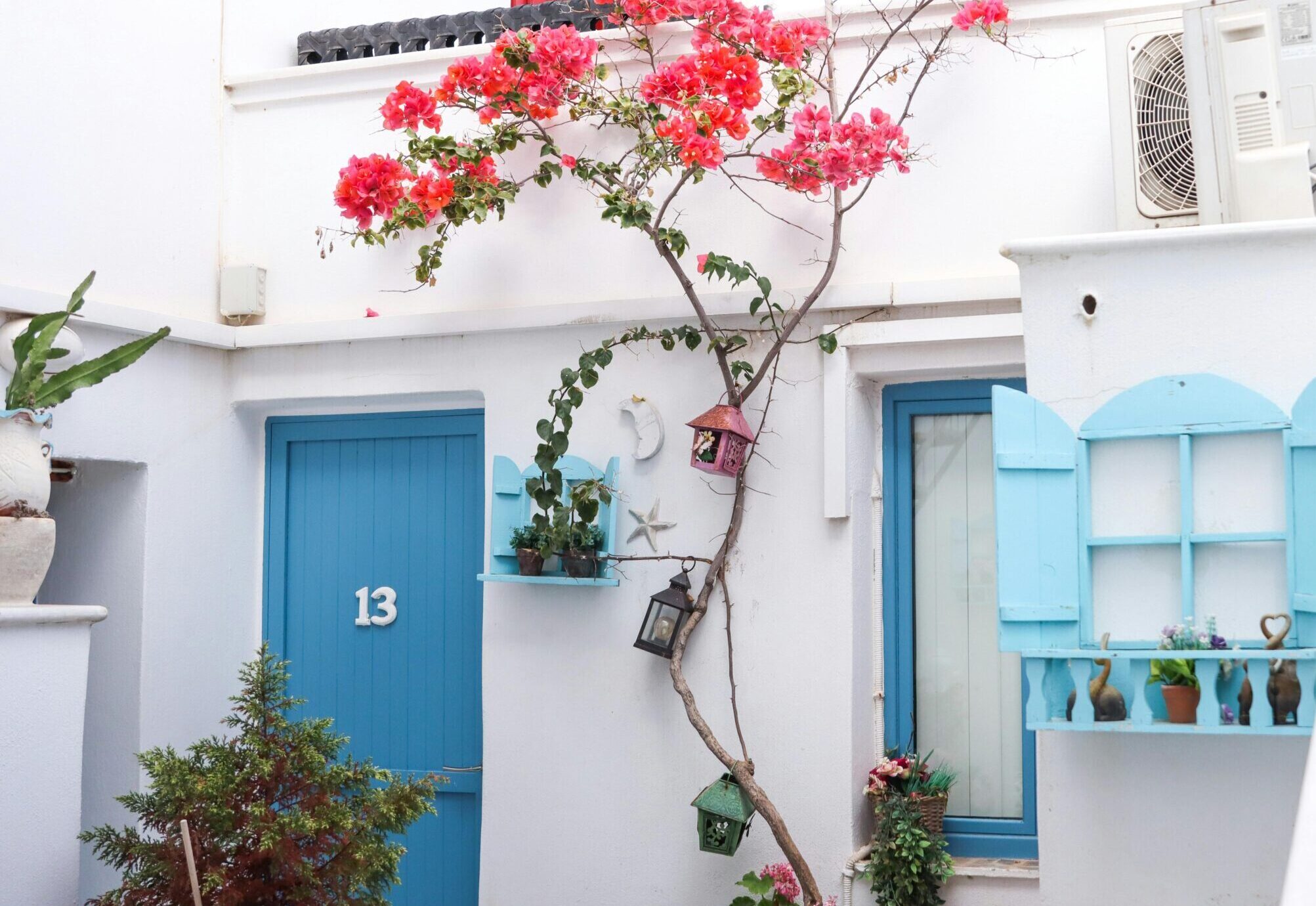 modelo de porta azul em casa branca simples, com bougainville na porta