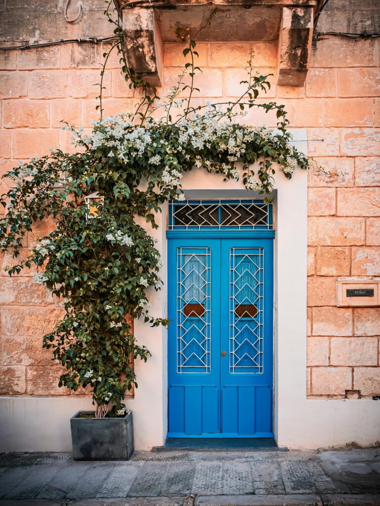 Portas azuis na entrada da casa com trepadeira ao lado da fachada